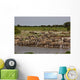 Zebras Waterhole Wall Mural