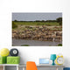 Zebras Waterhole Wall Mural