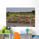 Zebras Waterhole Wall Mural