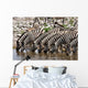 Zebras Waterhole