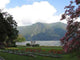 Lugano Wall Decal