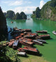Haolon Bay Wall Decal