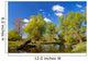 Trees near Pond Spring