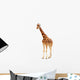 Giraffe Wall Decal