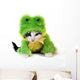 Frog Kitten