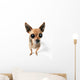 Big-eyed Chihuahua Wall Decal