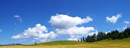 Nuages Wall Decal