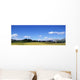 Ombre Et Lumiere Wall Decal
