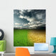 Weather Wall Mural