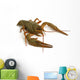 crawfish Wall Decal