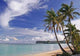 Guam Beach Wall Mural