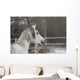 Vollblutaraber Portrait Wall Mural