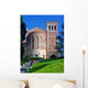 University Series UCLA Wall Mural