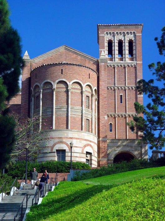 University Series UCLA Wall Mural