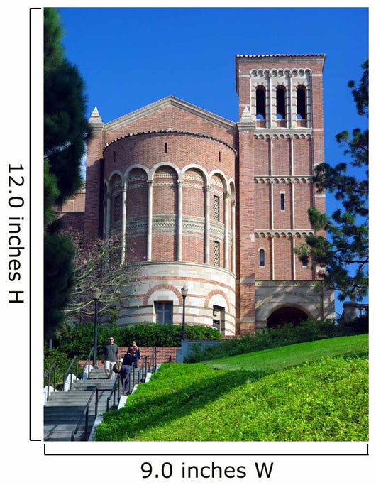 University Series UCLA Wall Mural