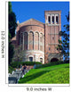 University Series UCLA Wall Mural