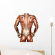 Building Muscle Male Back Wall Decal