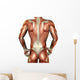 Building Muscle Male Back Wall Decal