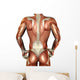 Building Muscle Male Back Wall Decal