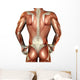 Building Muscle Male Back Wall Decal
