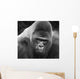 Close-up Gorilla Wall Mural