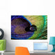 Water Drop on Peacock Feather Wall Mural