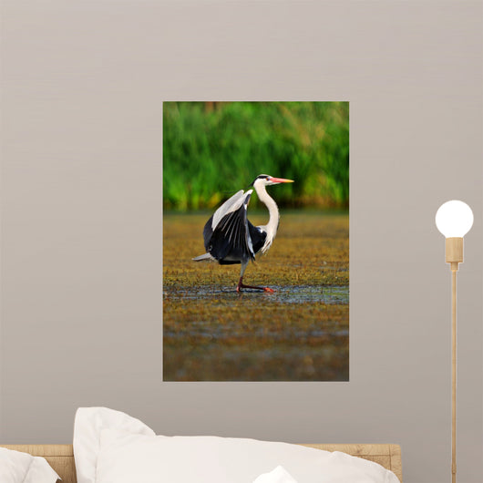 Heron Wall Mural
