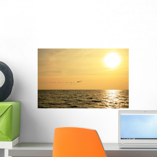 Sunrise and Flock Birds Wall Mural