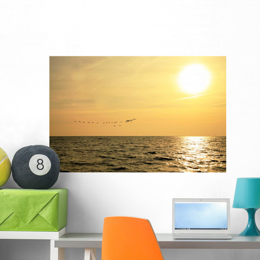 Sunrise and Flock Birds Wall Mural