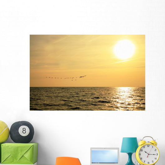 Sunrise and Flock Birds Wall Mural