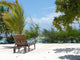 Beach Wall Mural