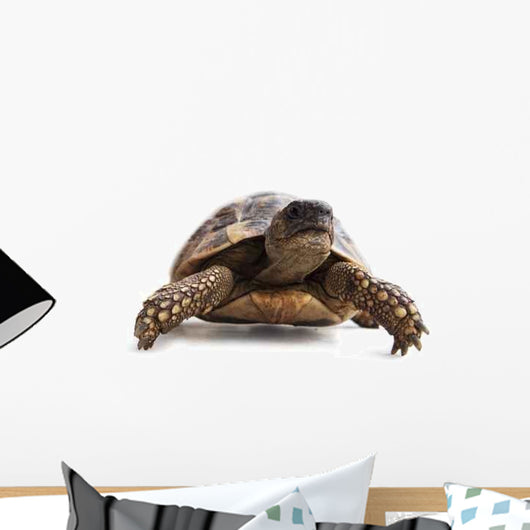 Turtle Wall Decal