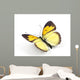 Butterfly 3D Render Illustration Wall Decal