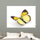 Butterfly 3D Render Illustration Wall Decal