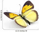 Butterfly 3D Render Illustration Wall Decal