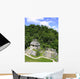 Palenque mayan ruins maya Chiapas Mexico Wall Mural