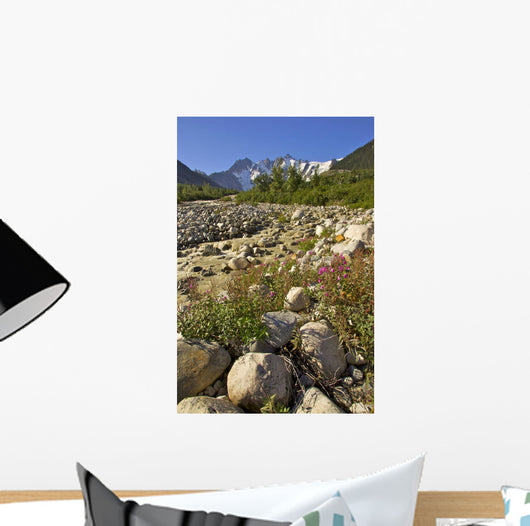 Scenic View Along The White Pass Trail Heli-Hike Hiking Tour Wall Mural