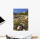Scenic View Along The White Pass Trail Heli-Hike Hiking Tour Wall Mural