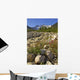 Scenic View Along The White Pass Trail Heli-Hike Hiking Tour Wall Mural