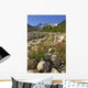 Scenic View Along The White Pass Trail Heli-Hike Hiking Tour Wall Mural