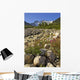 Scenic View Along The White Pass Trail Heli-Hike Hiking Tour Wall Mural