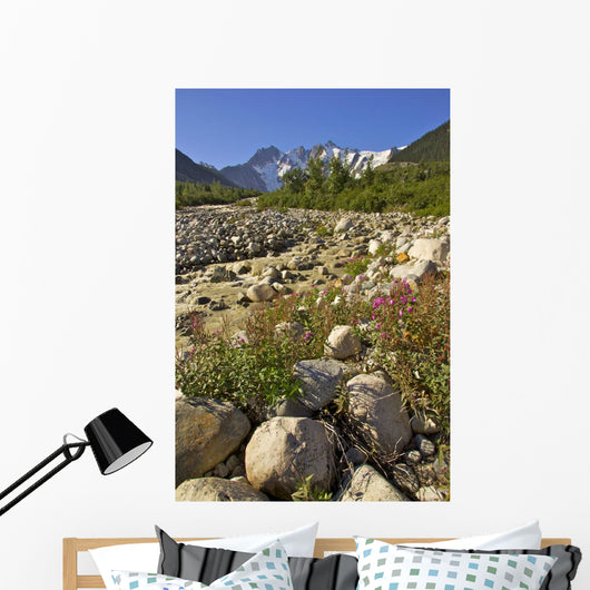 Scenic View Along The White Pass Trail Heli-Hike Hiking Tour Wall Mural