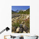 Scenic View Along The White Pass Trail Heli-Hike Hiking Tour Wall Mural