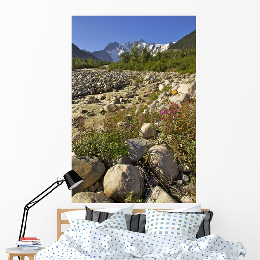 Scenic View Along The White Pass Trail Heli-Hike Hiking Tour Wall Mural