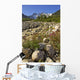 Scenic View Along The White Pass Trail Heli-Hike Hiking Tour Wall Mural