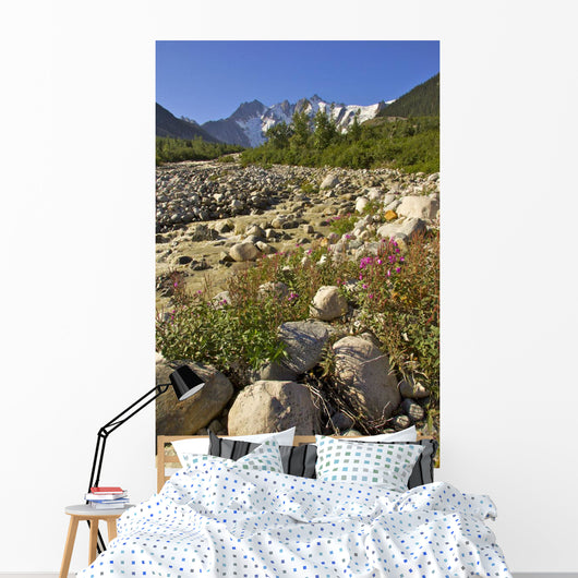Scenic View Along The White Pass Trail Heli-Hike Hiking Tour Wall Mural