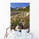 Scenic View Along The White Pass Trail Heli-Hike Hiking Tour Wall Mural