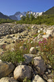 Scenic View Along The White Pass Trail Heli-Hike Hiking Tour Wall Mural