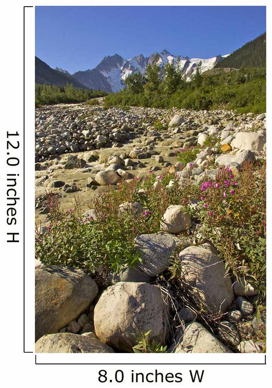 Scenic View Along The White Pass Trail Heli-Hike Hiking Tour Wall Mural