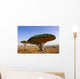 Dragon blood tree Wall Mural